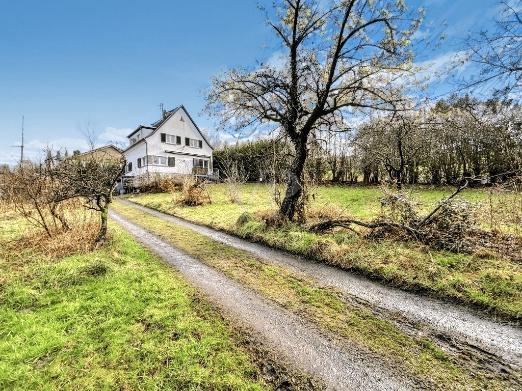 Blick zum Haus und über das Grundstück