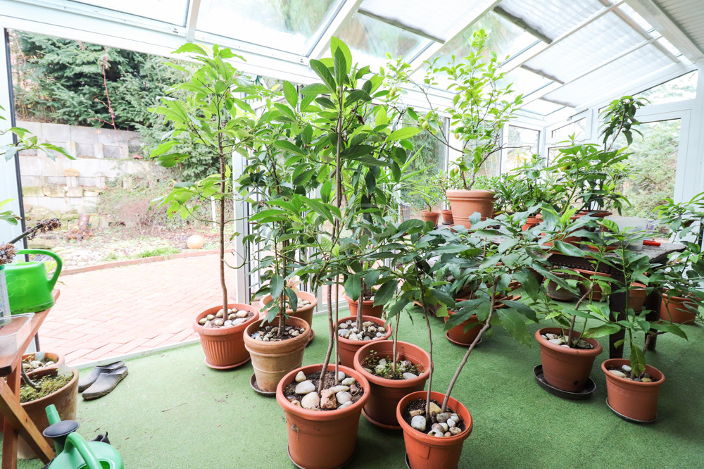 Wintergarten
