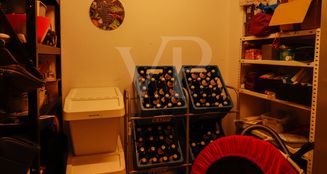 von_poll_real_estate_property_25204017_image_6