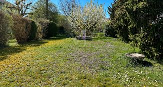 von_poll_real_estate_property_25204028_image_8