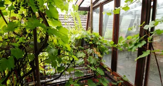 von_poll_real_estate_property_25204025_image_16