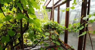 von_poll_real_estate_property_25204025_image_16