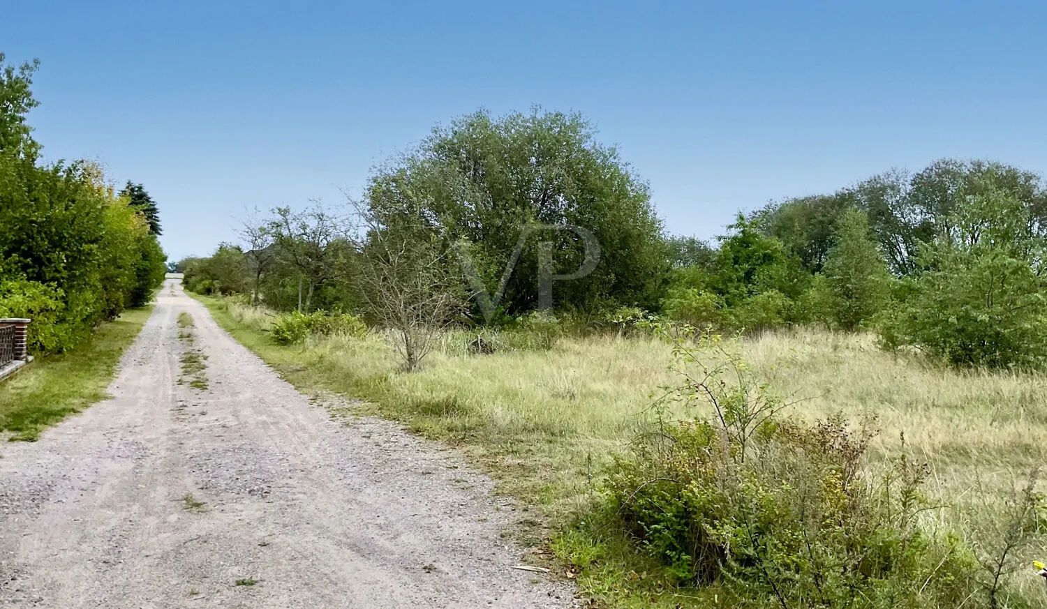 Naturnah leben, entspannt bauen – Ihr Grundstück in ländlicher Umgebung von Suhlendorf