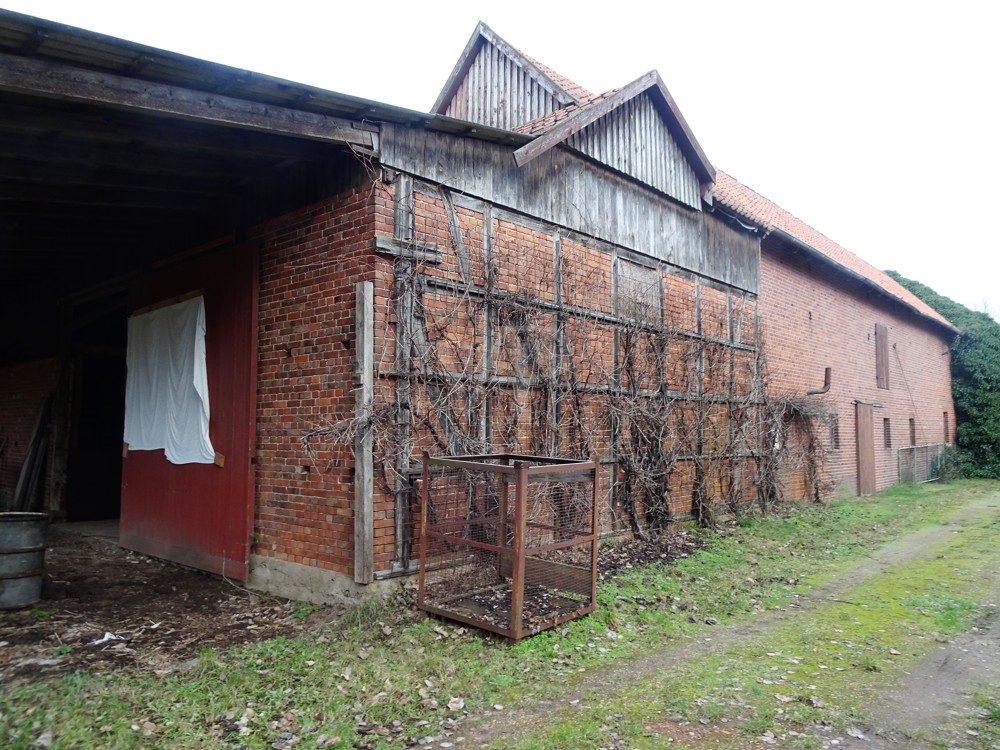 Seitenansicht