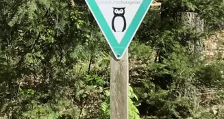 von_poll_real_estate_property_23238224_image_1