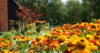 von_poll_real_estate_property_23238224_image_31