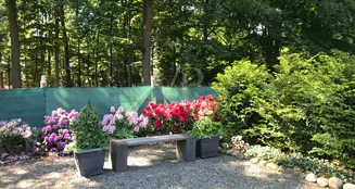 von_poll_real_estate_property_23238224_image_6