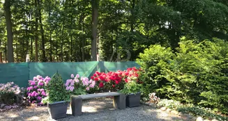 von_poll_real_estate_property_23238224_image_6