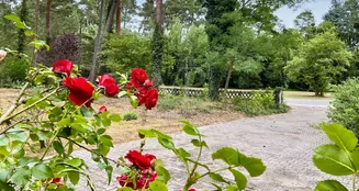 von_poll_real_estate_property_25239229_image_2