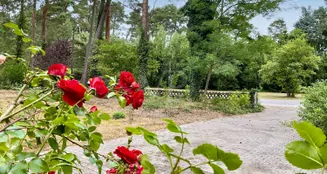 von_poll_real_estate_property_25239229_image_2