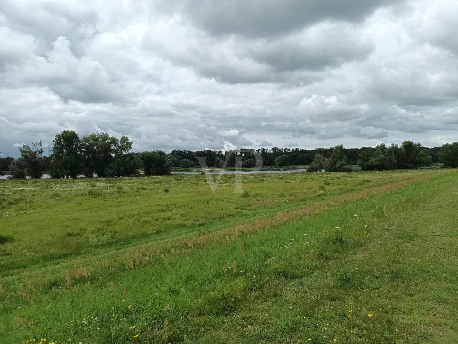 Blick Richtung Westen auf die Elbe