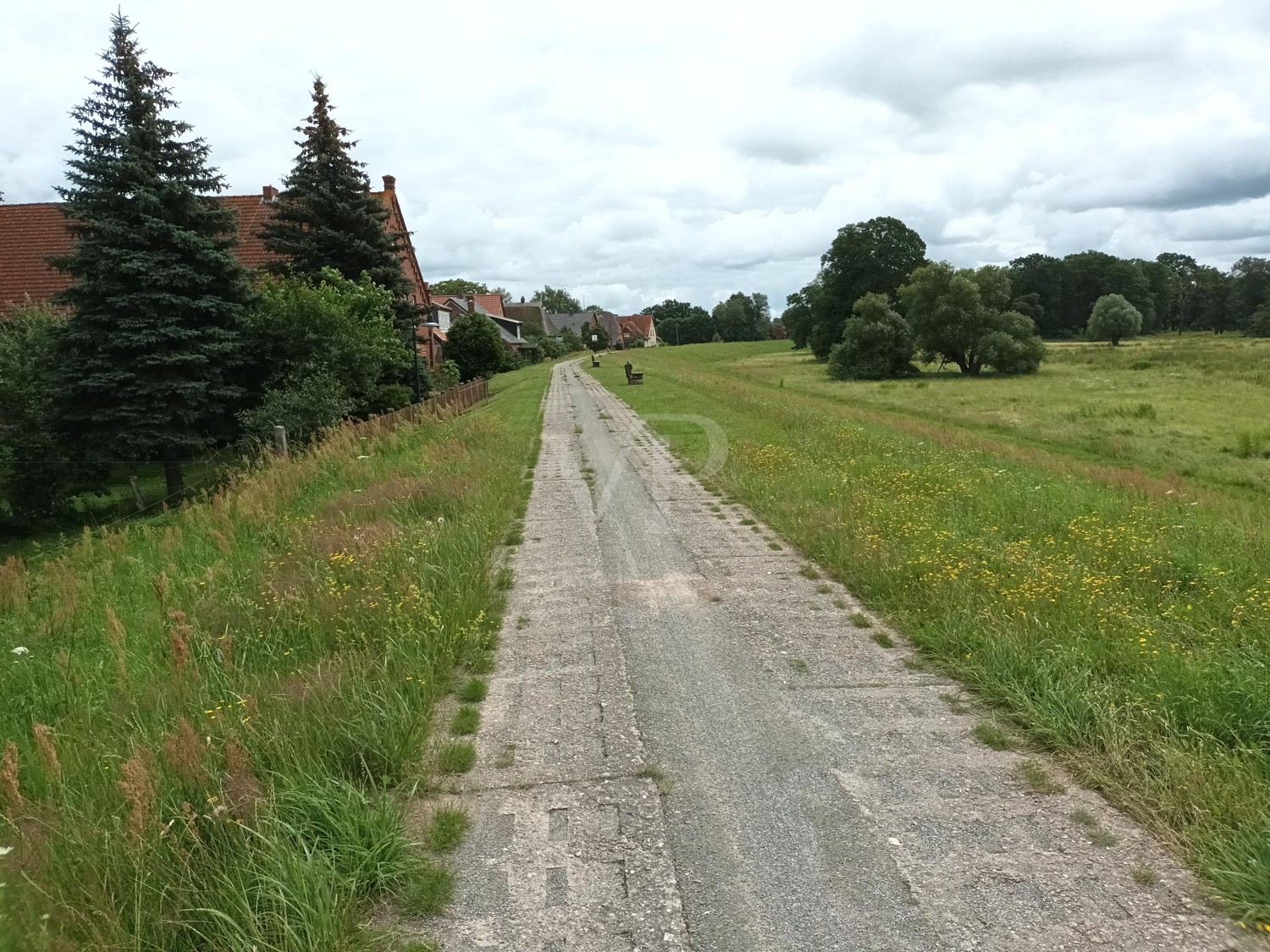 Blick von Westen aus Richtung Flurstück 95/2