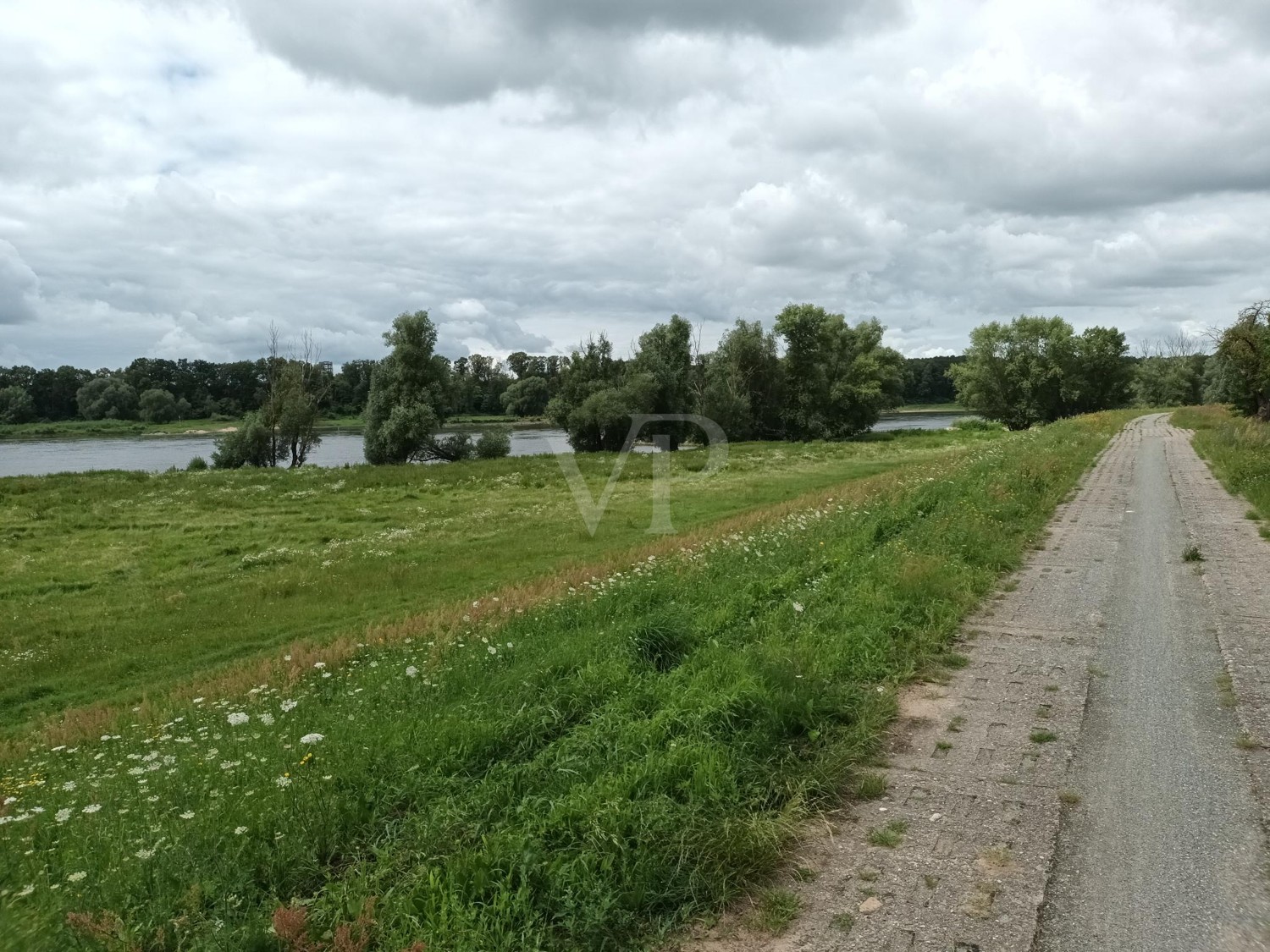 Blick Richtung Nordwesten über den Elbdeich