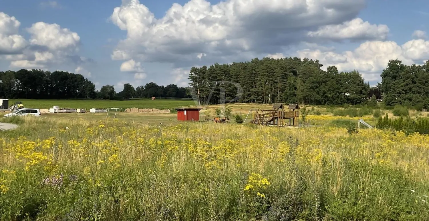 a21d45a3-6d38-4a8c-bf1d-17c278e9aff5_original