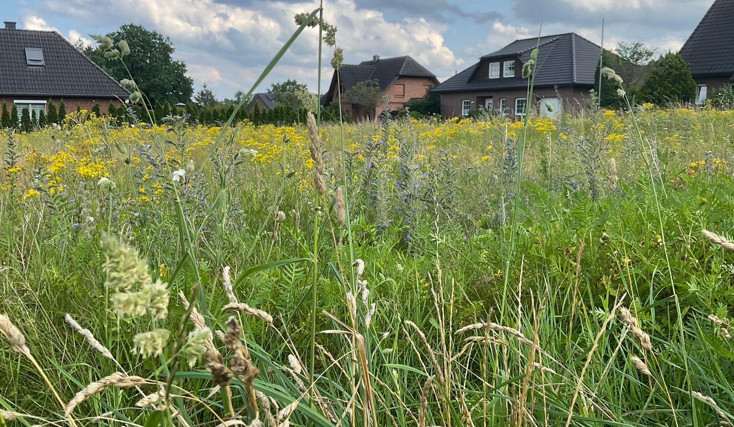 Grundstücksansicht