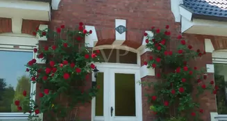 von_poll_real_estate_property_24238222_image_0