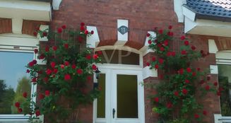 von_poll_real_estate_property_24238222_image_0