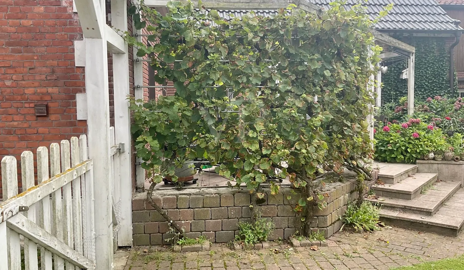 Aufgang Terrasse1-adb0-8f183a0b46ab_original