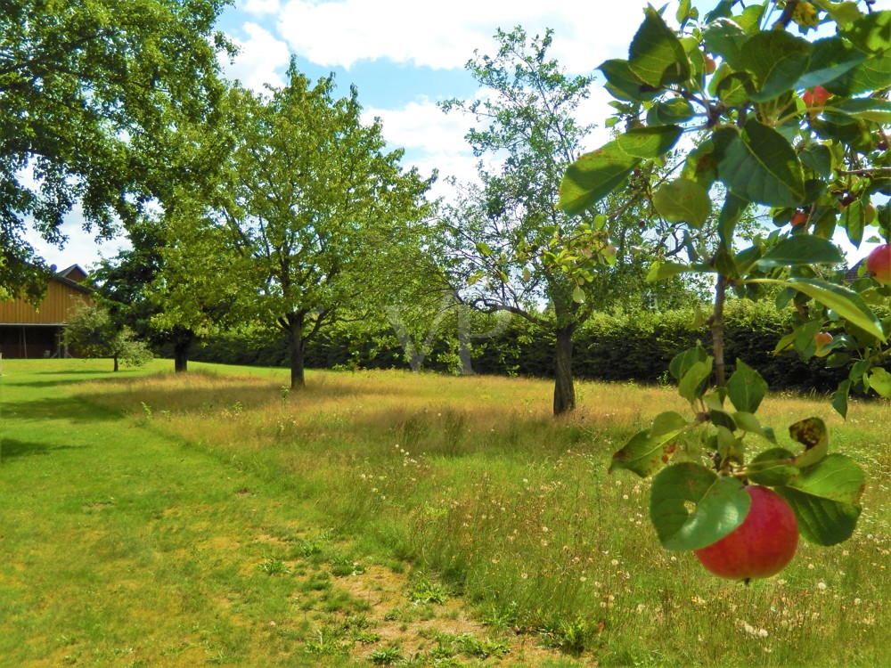 Blick von der Streuobstwiese