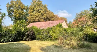 von_poll_real_estate_property_24238225_image_7