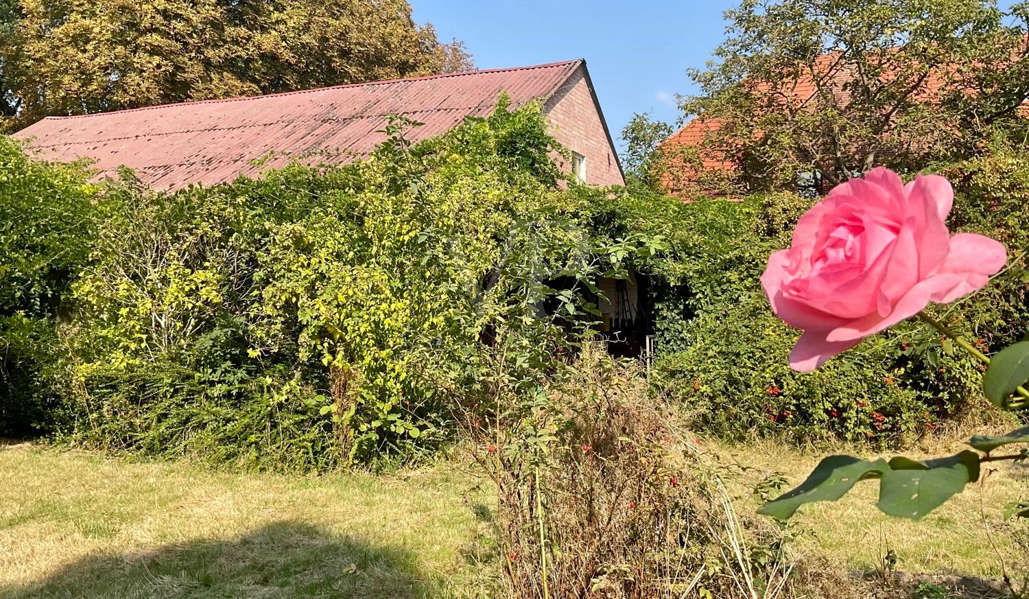 Garten mit Blick zum Nebengebäude