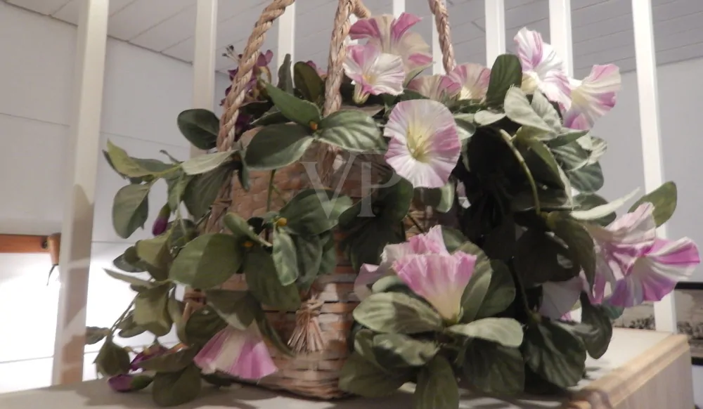 Ein- bis Zweifamilienhaus in Wustrow / Wendland