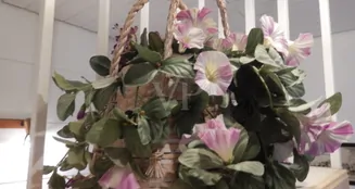 von_poll_real_estate_property_22238213_1_image_29