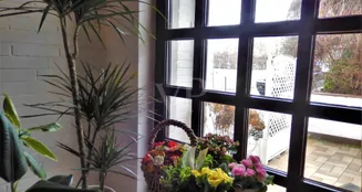 von_poll_real_estate_property_22238213_1_image_11