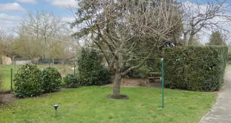 von_poll_real_estate_property_22238213_1_image_3