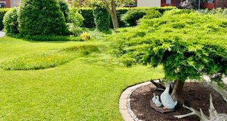 von_poll_real_estate_property_25239223_image_8