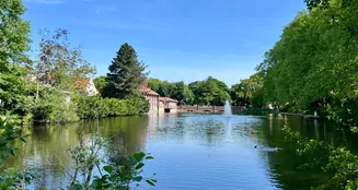 von_poll_real_estate_property_25239204_image_32