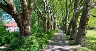 von_poll_real_estate_property_25239204_image_31