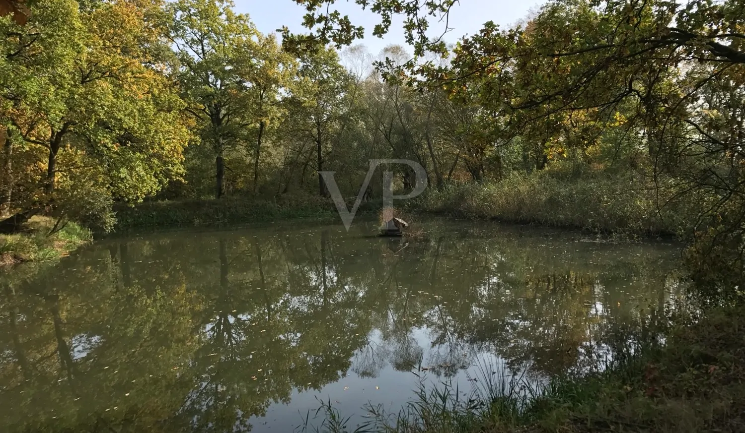 Exklusives Anwesen mit Geschichte und Potenzial zur Miete
