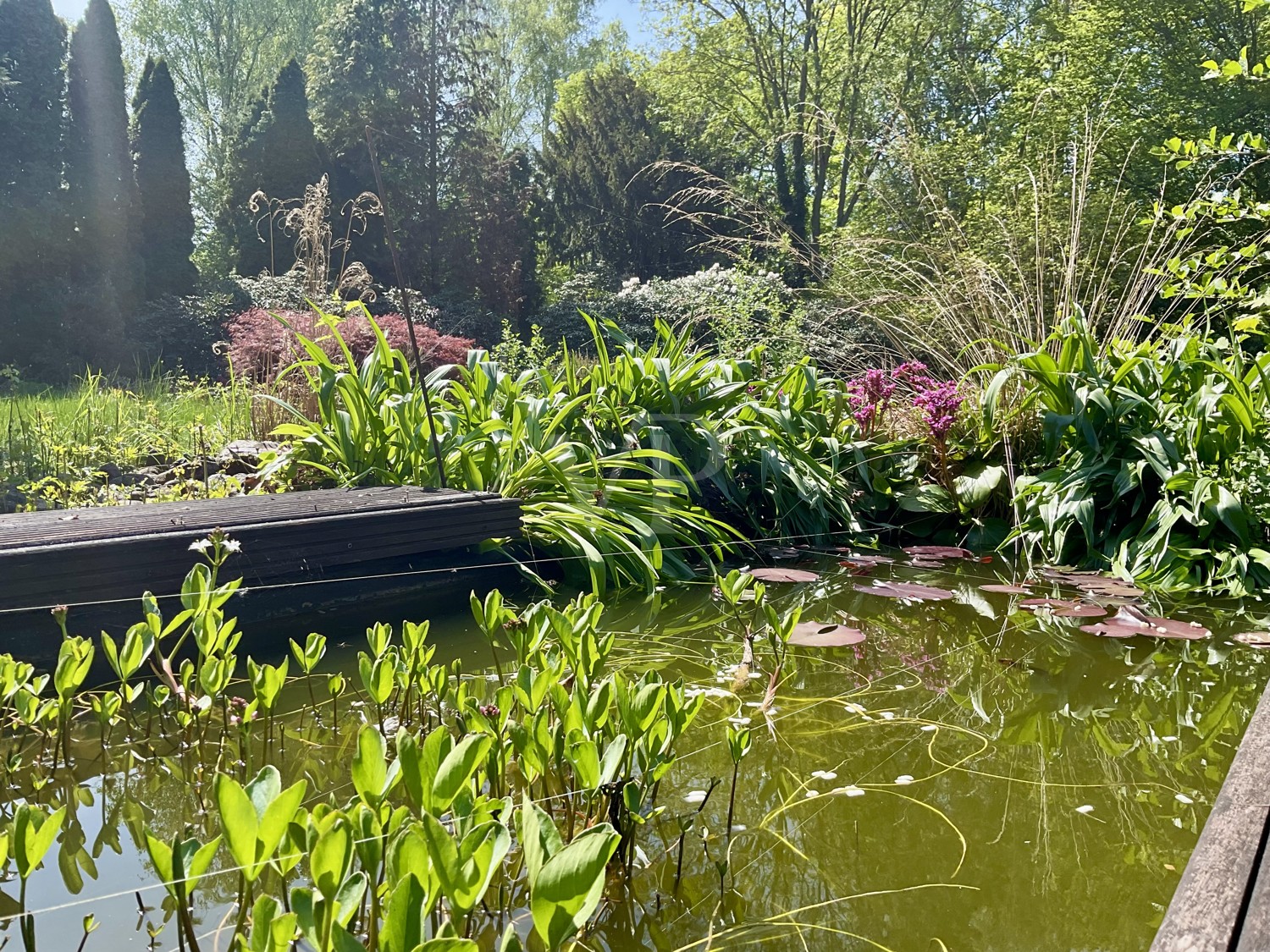 Gartenansicht