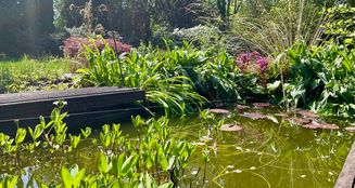 von_poll_real_estate_property_25239224_image_31