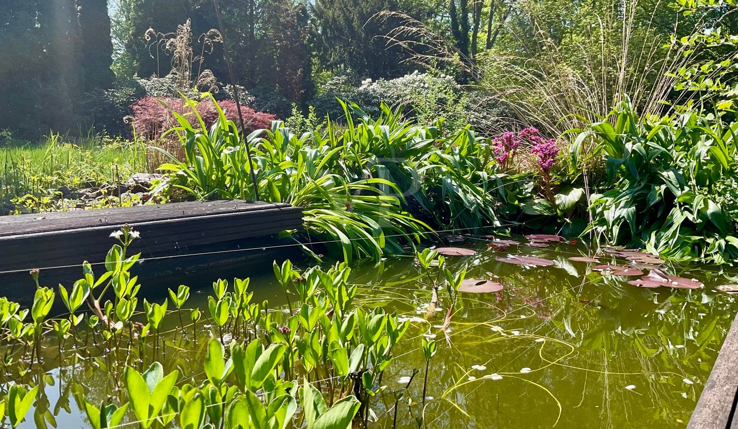Gartenansicht