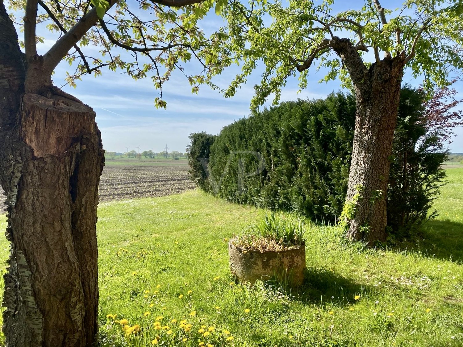 Garten