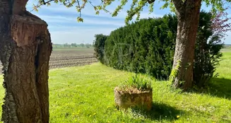 von_poll_real_estate_property_25239206_image_12