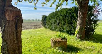 von_poll_real_estate_property_25239206_image_13