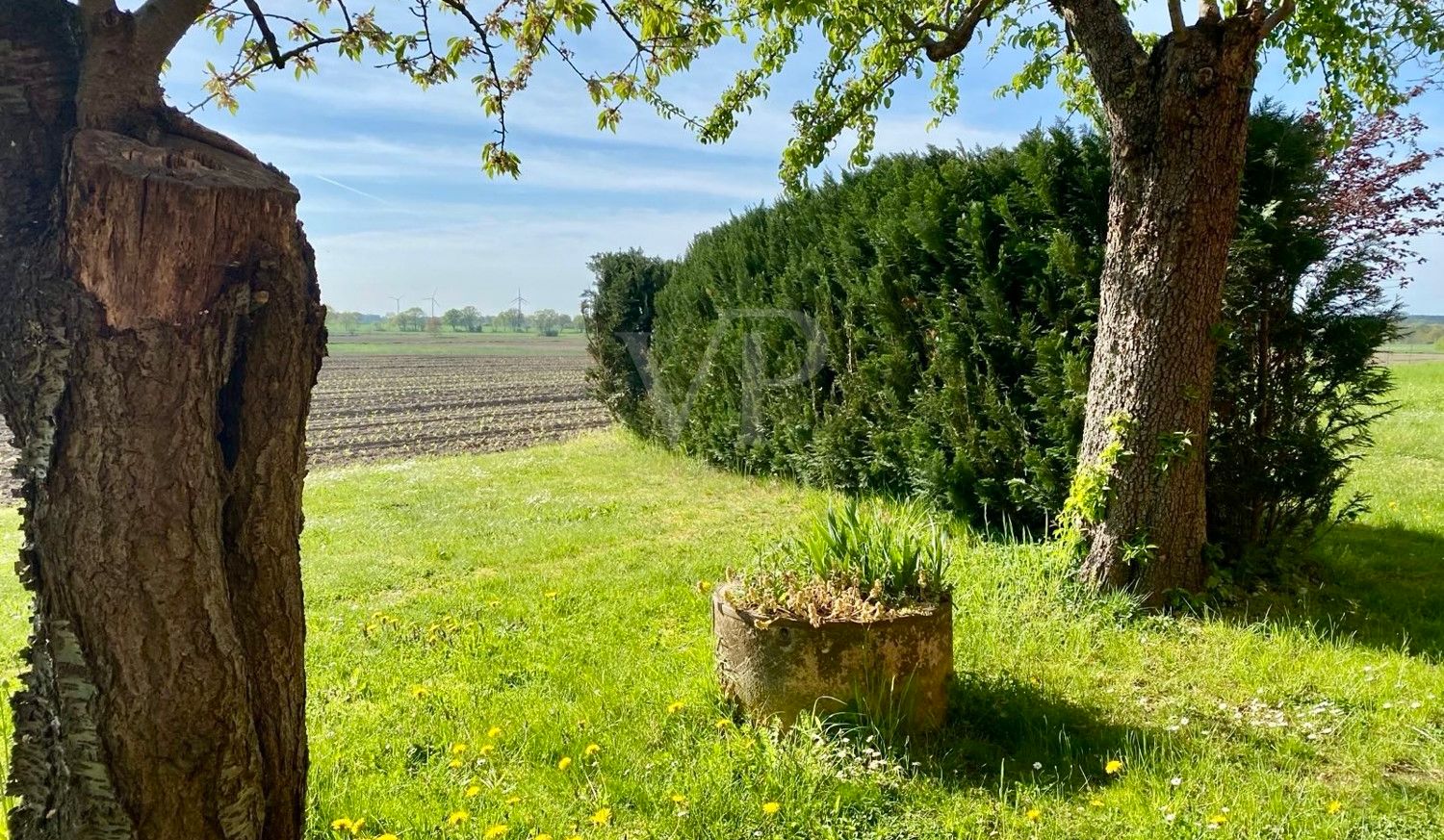 Garten