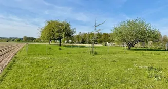 von_poll_real_estate_property_25239206_image_40