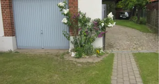 von_poll_real_estate_property_25239206_image_36