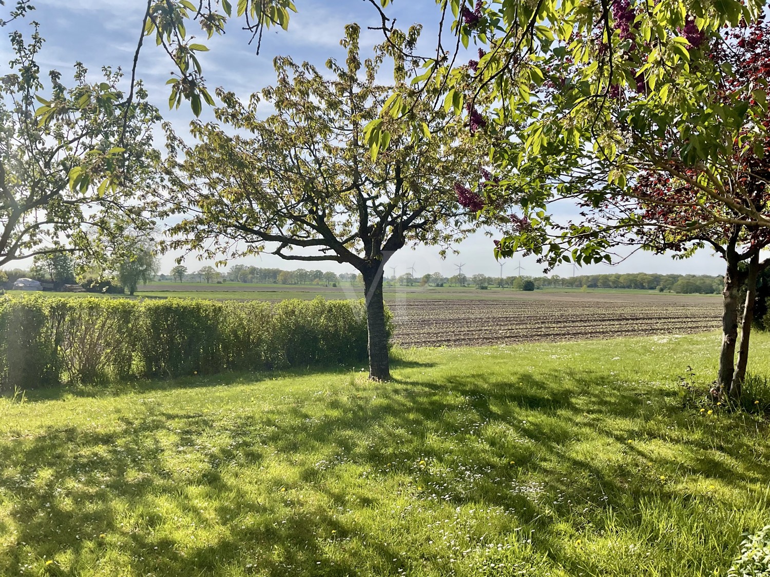 Blick vom Garten