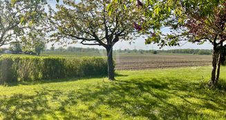 von_poll_real_estate_property_25239206_image_42