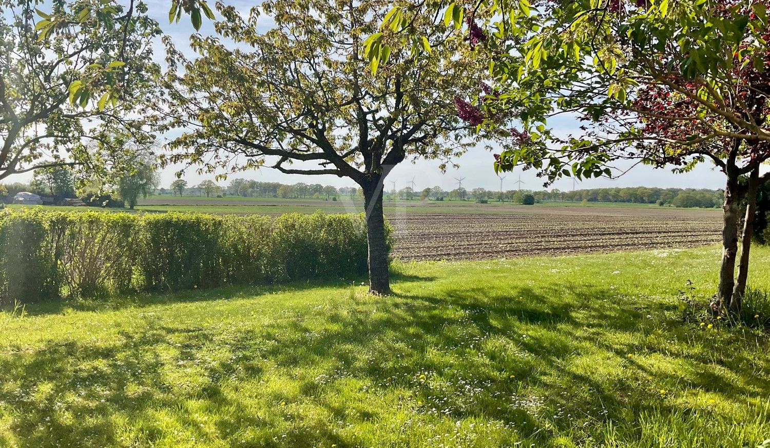 Blick vom Garten