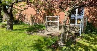 von_poll_real_estate_property_25239206_image_4