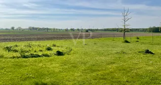 von_poll_real_estate_property_25239206_image_42