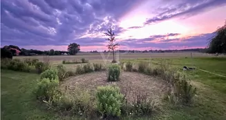 von_poll_real_estate_property_25239206_image_43