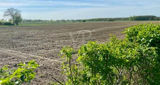 von_poll_real_estate_property_25239206_image_38