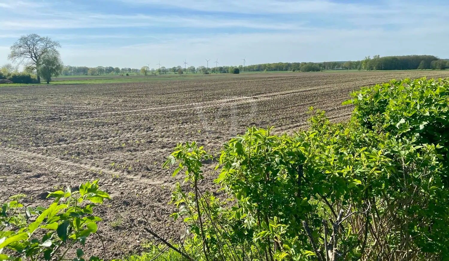Blick auf die Ackerfläche